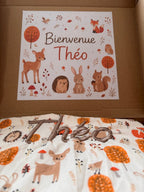 Couverture - Printemps céleste -